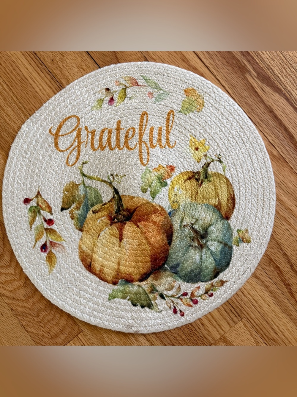 The Pioneer Women pumpkin place mat